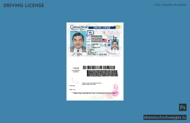 USA Connecticut Führerschein Beispielvorschau